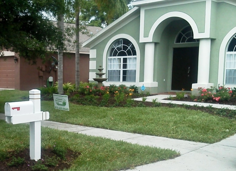 Empire Zoysia by Council Growers Sod Farm - Photo 4