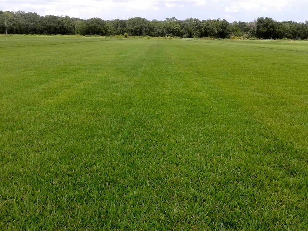 Council Growers Sod Farm - Photo 6