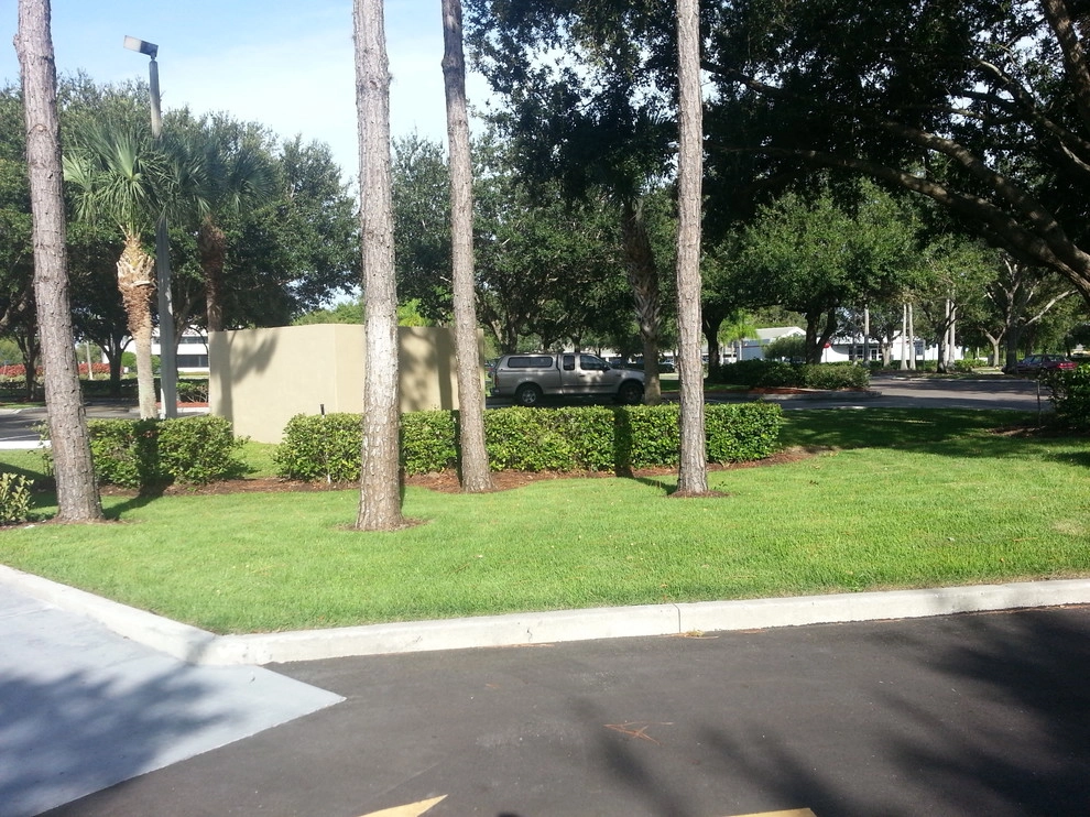 Empire Zoysia by Council Growers Sod Farm - Photo 3