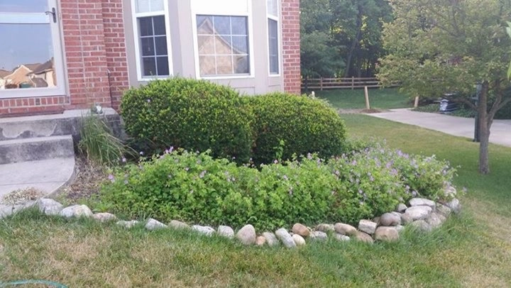 Stableton Front Landscape by Country Club Landscaping - Photo 8