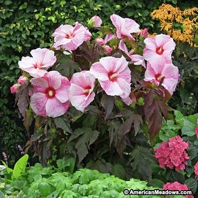 Country Club Landscaping - Photo 6