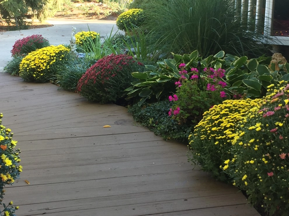 Bigger Rd Fall Garden by Country Club Landscaping - Photo 3