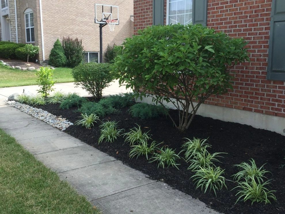Stableton Front Landscape by Country Club Landscaping - Photo 10