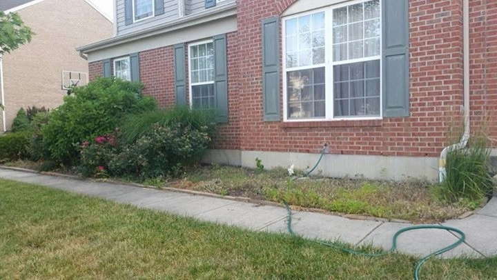 Stableton Front Landscape by Country Club Landscaping - Photo 4