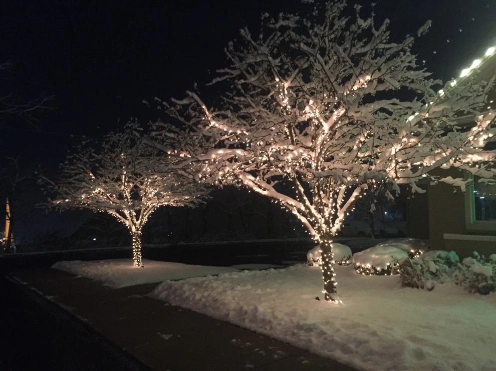Country Club Landscaping - Photo 11