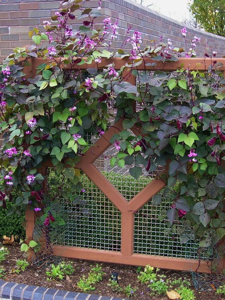 Color + Inspiration by Country Club Landscaping - Photo 52