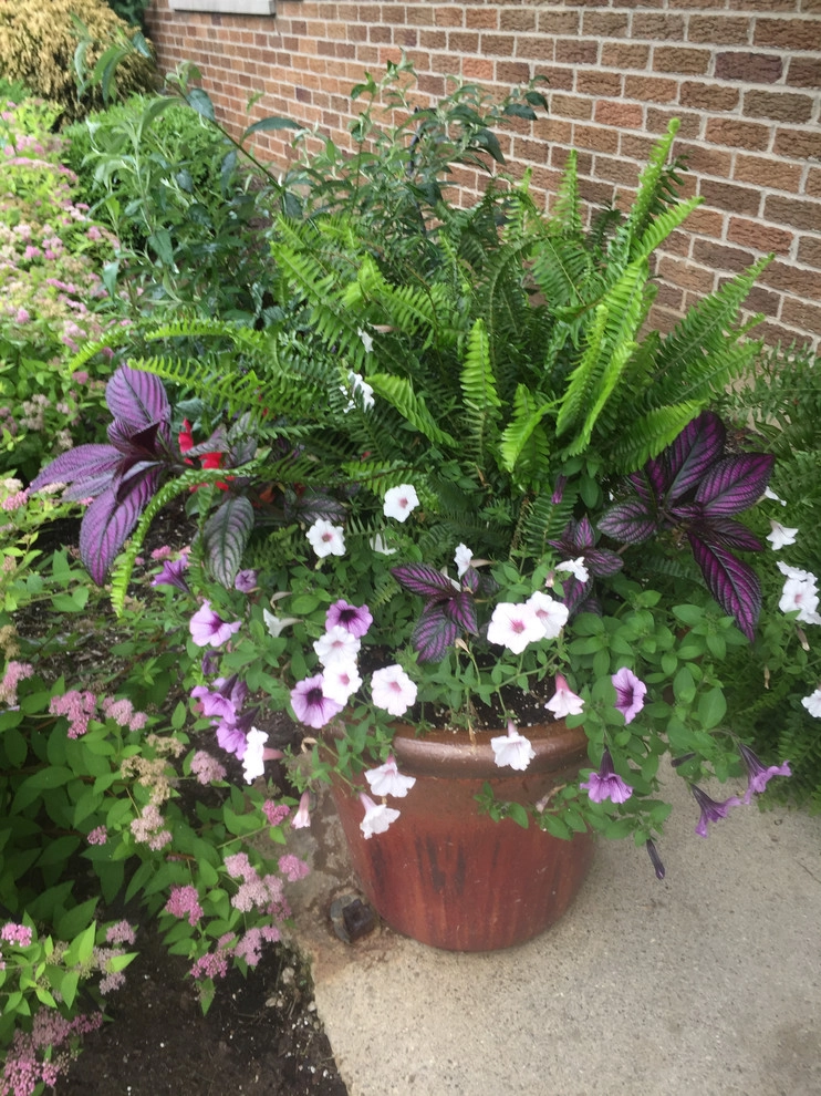Color + Inspiration by Country Club Landscaping - Photo 18