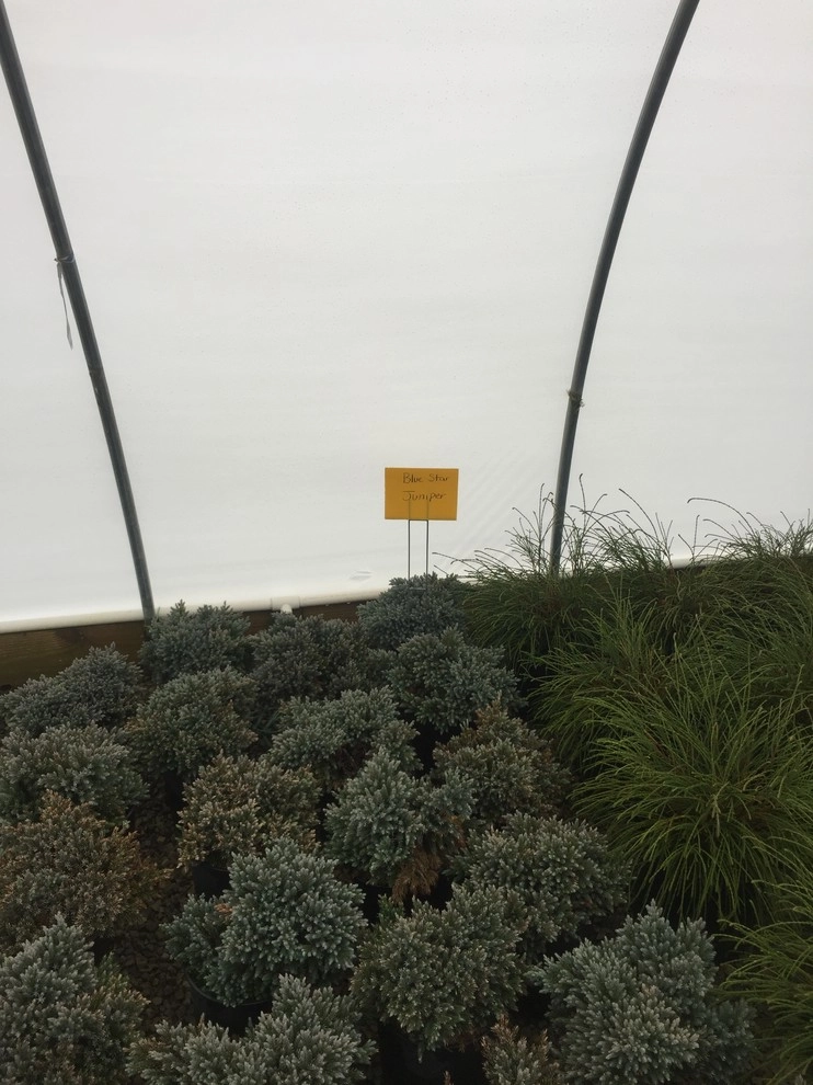 Country Club Landscaping - Photo 12