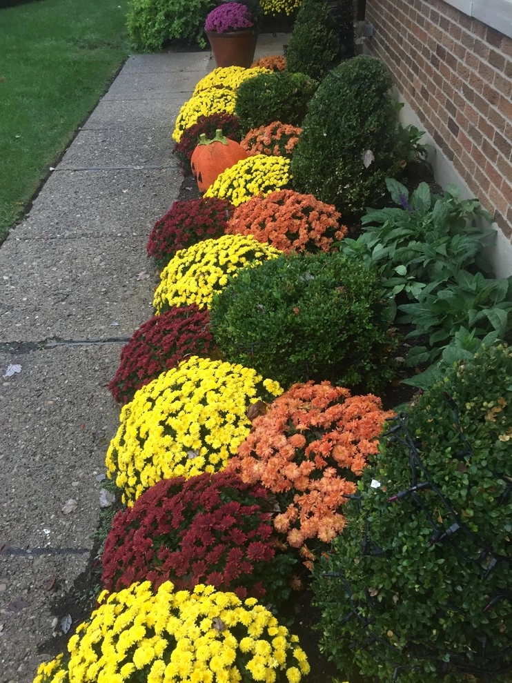 Color + Inspiration by Country Club Landscaping - Photo 36