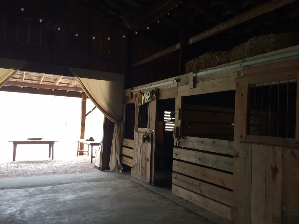 Alternative Initiatives by Gus Construction Company - Photo 88