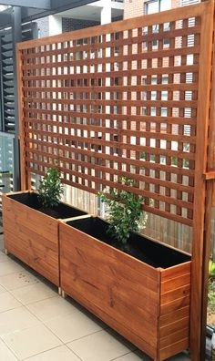 Color + Inspiration by Country Club Landscaping - Photo 21