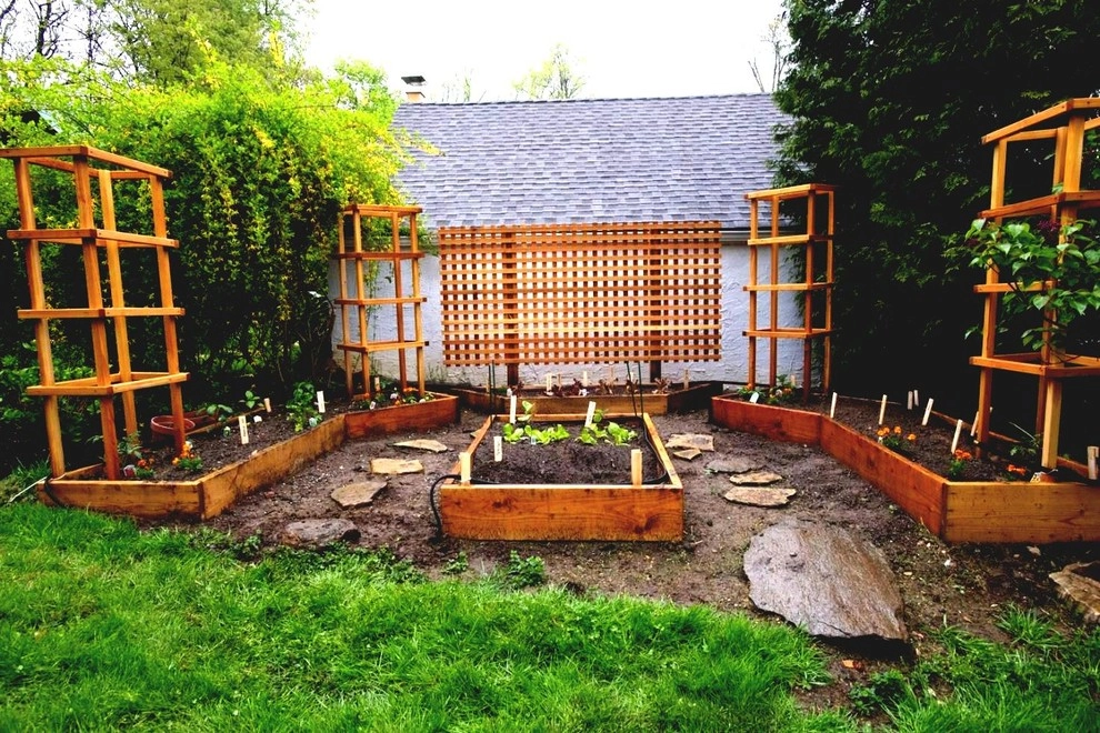 Color + Inspiration by Country Club Landscaping - Photo 34
