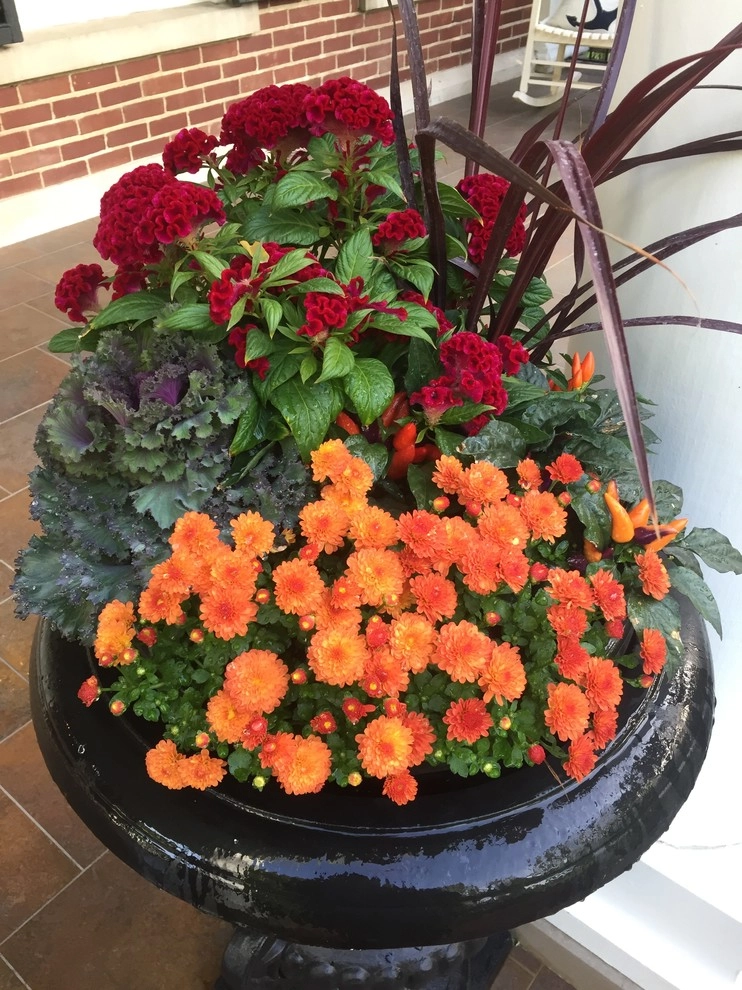 Color + Inspiration by Country Club Landscaping - Photo 30
