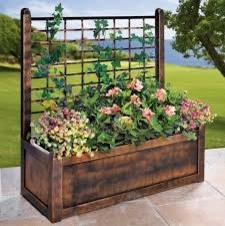 Color + Inspiration by Country Club Landscaping - Photo 28
