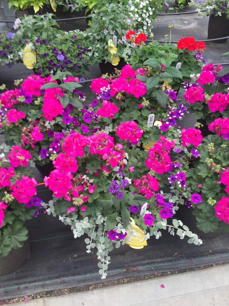 Country Club Landscaping - Photo 9