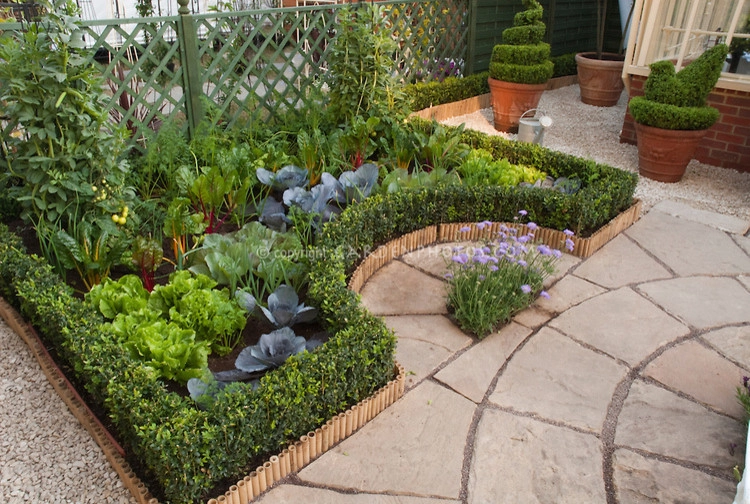Color + Inspiration by Country Club Landscaping - Photo 26