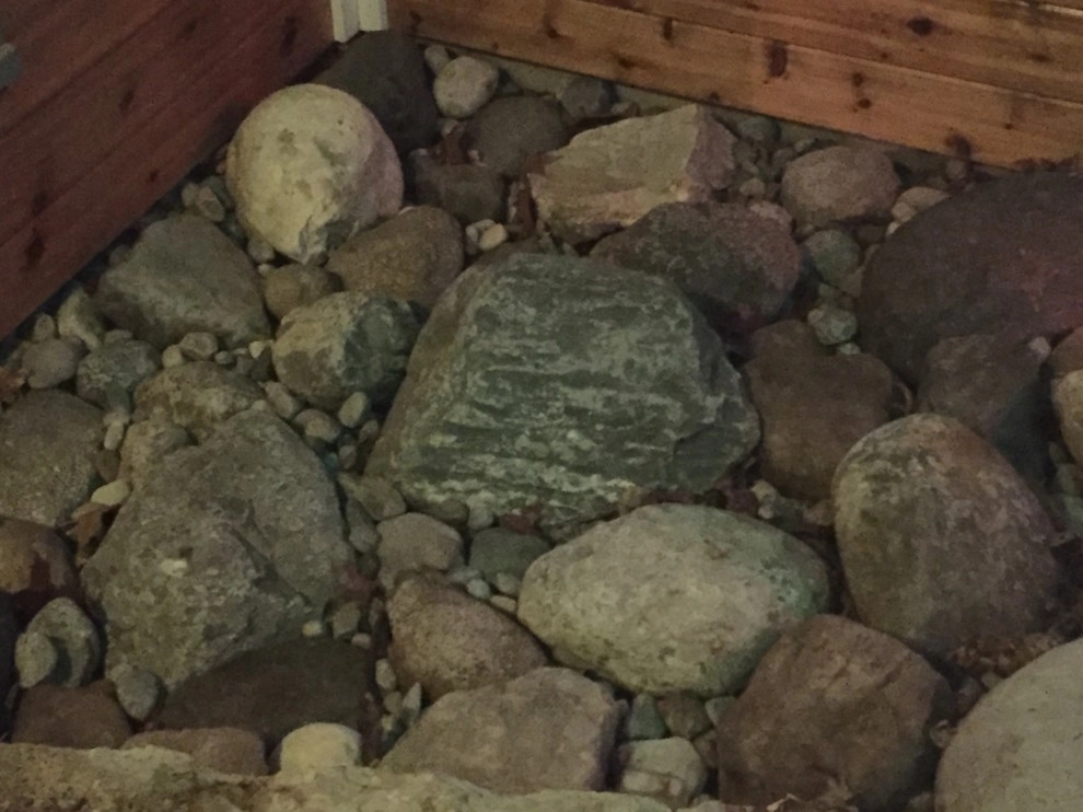 Color + Inspiration by Country Club Landscaping - Photo 44