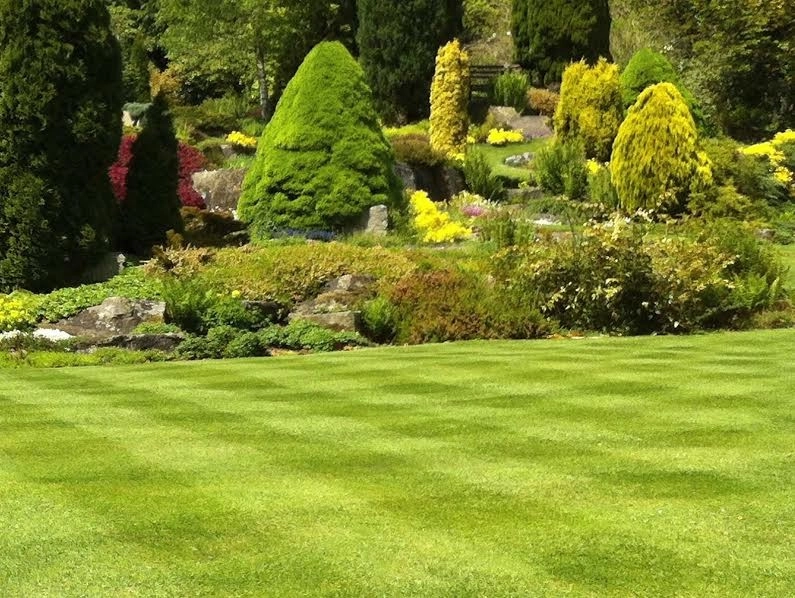 Country Lawn Care, Inc. - Photo 6