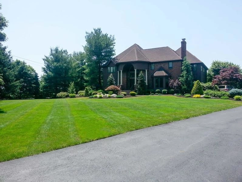 Country Lawn Care, Inc. - Photo 7