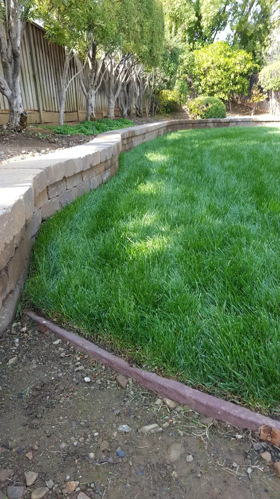 Cupertino Paving Installation by Visionary Home Remodeling Inc. - Photo 4