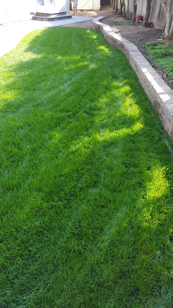 Cupertino Paving Installation by Visionary Home Remodeling Inc. - Photo 3