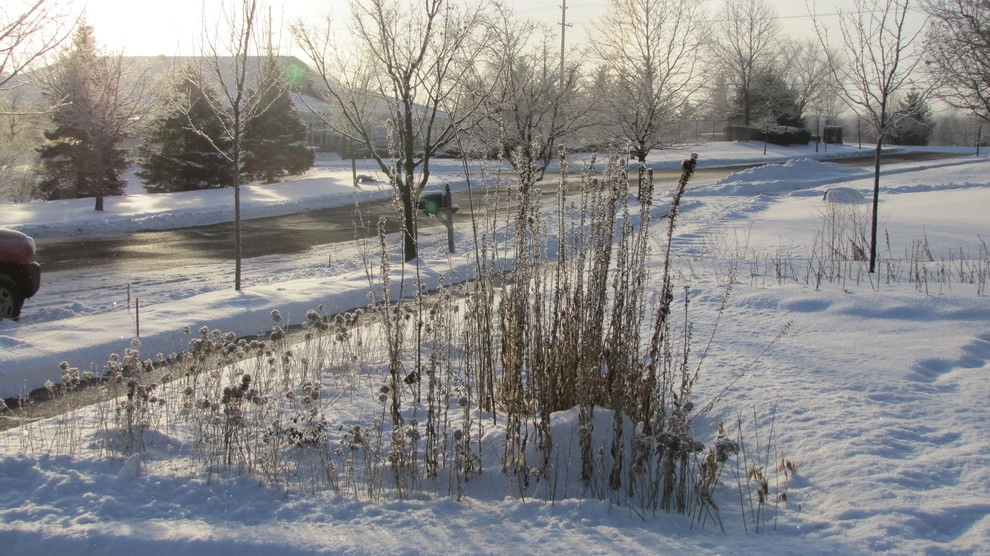 Compilation of Rain Garden Projects by Creating Sustainable Landscapes, LLC - Photo 7