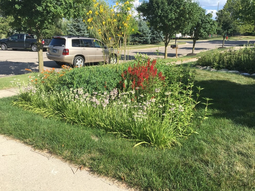 Compilation of Rain Garden Projects by Creating Sustainable Landscapes, LLC - Photo 11