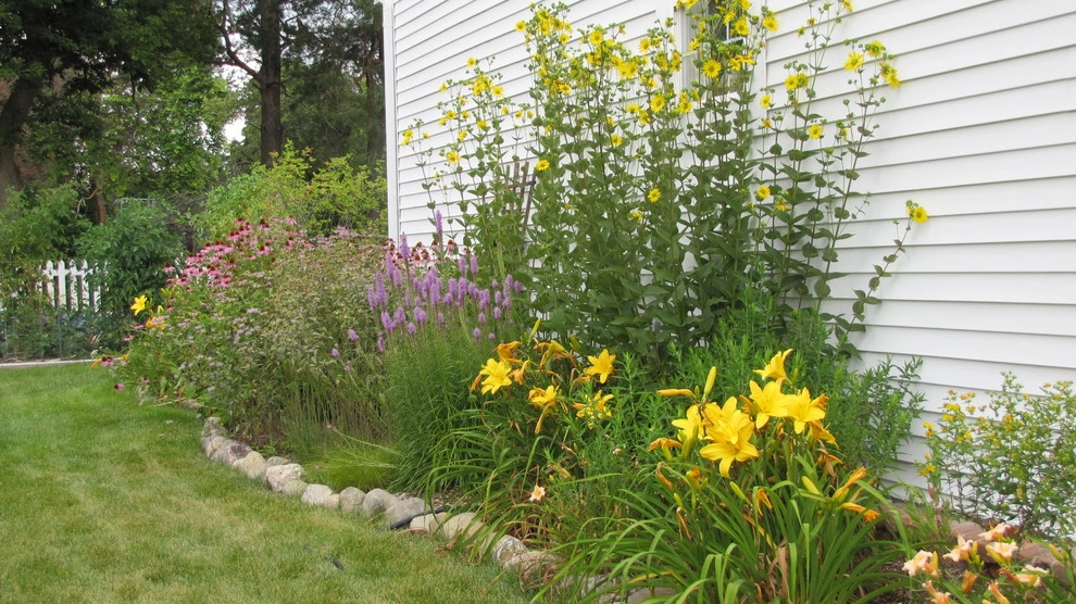 Compilation of Native Perennial Garden Projects by Creating Sustainable Landscapes, LLC - Photo 11