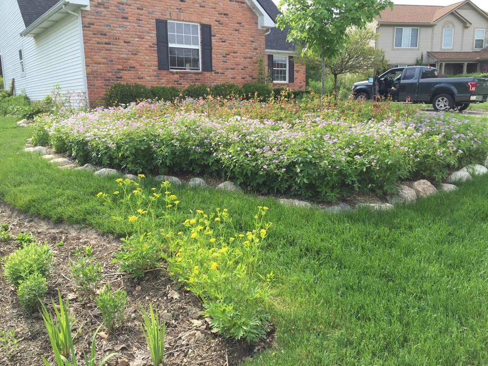 Compilation of Native Perennial Garden Projects by Creating Sustainable Landscapes, LLC - Photo 8