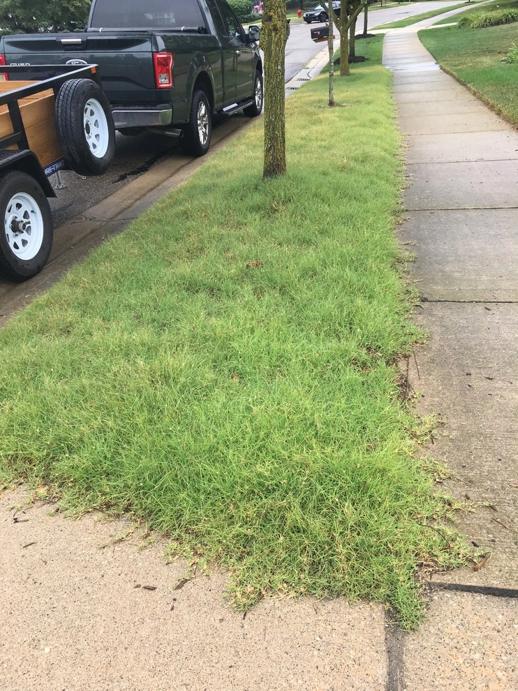 At home July 2017 by Creating Sustainable Landscapes, LLC - Photo 3