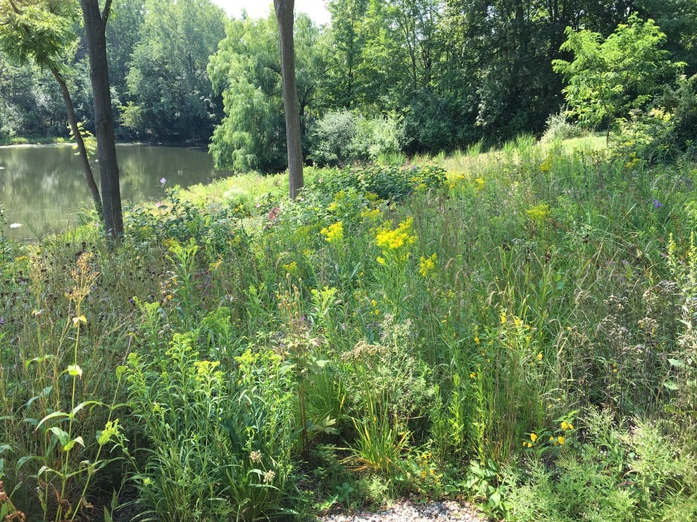 2017 by Creating Sustainable Landscapes, LLC - Photo 3
