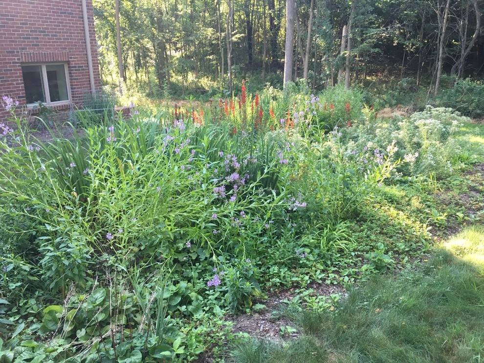 2017 by Creating Sustainable Landscapes, LLC - Photo 10