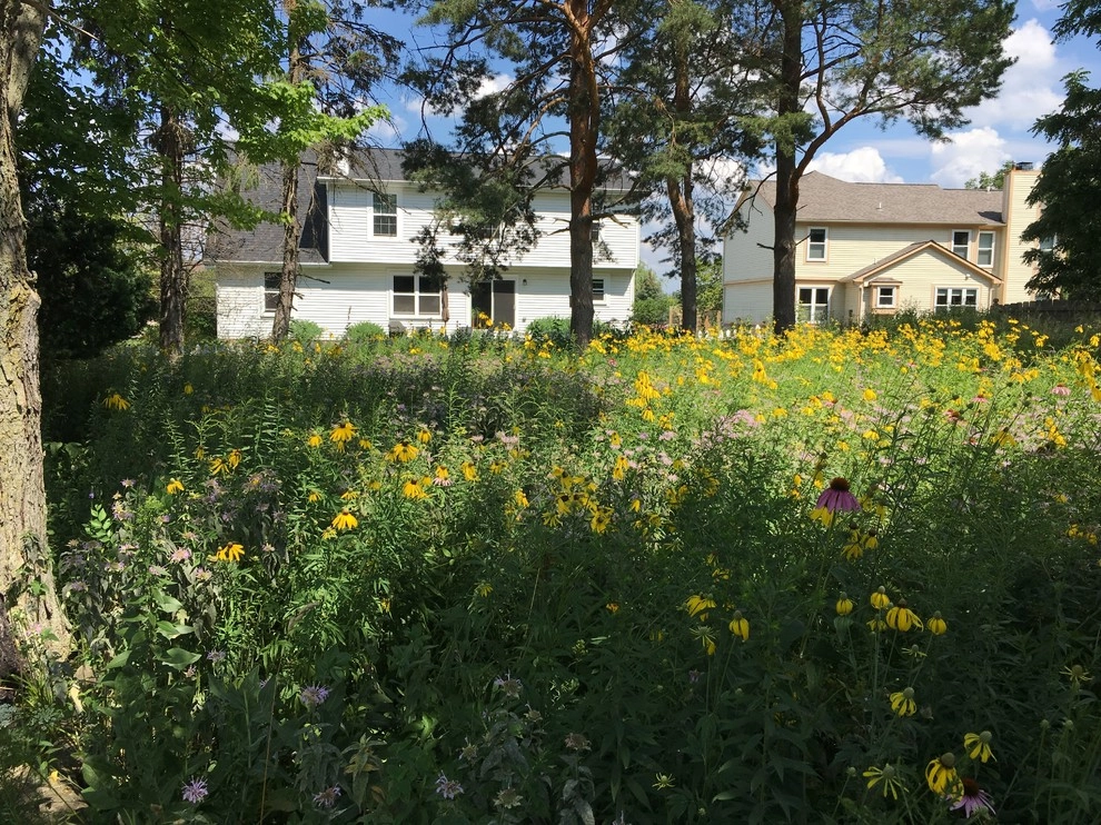 2017 by Creating Sustainable Landscapes, LLC - Photo 4