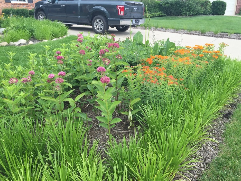 Compilation of Rain Garden Projects by Creating Sustainable Landscapes, LLC - Photo 13
