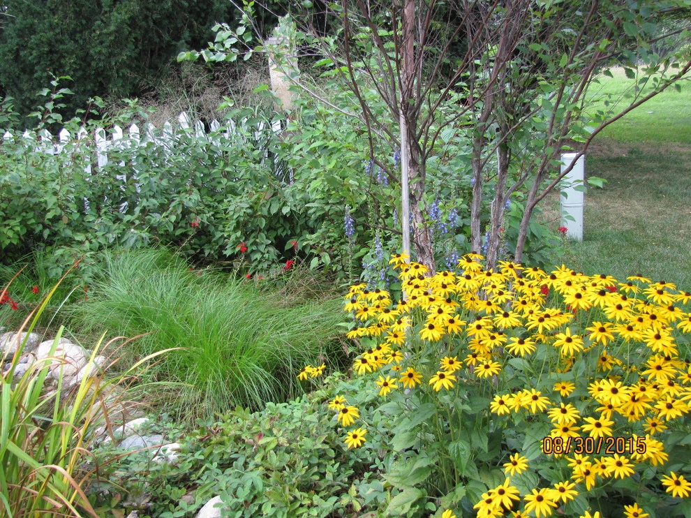 Compilation of Rain Garden Projects by Creating Sustainable Landscapes, LLC - Photo 2