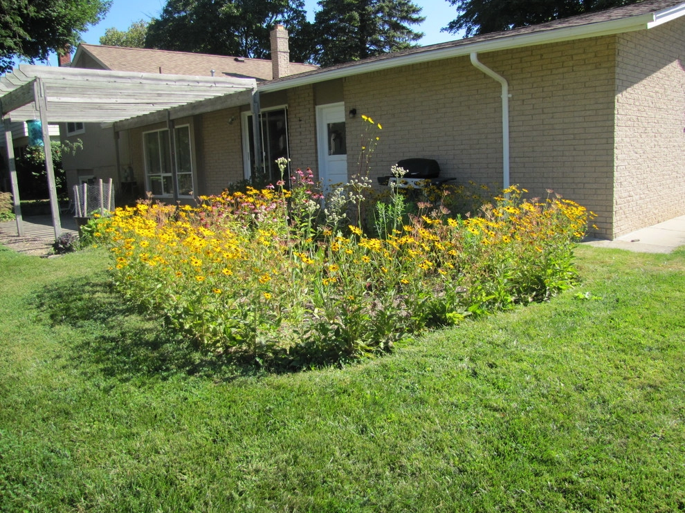 Compilation of Rain Garden Projects by Creating Sustainable Landscapes, LLC - Photo 6