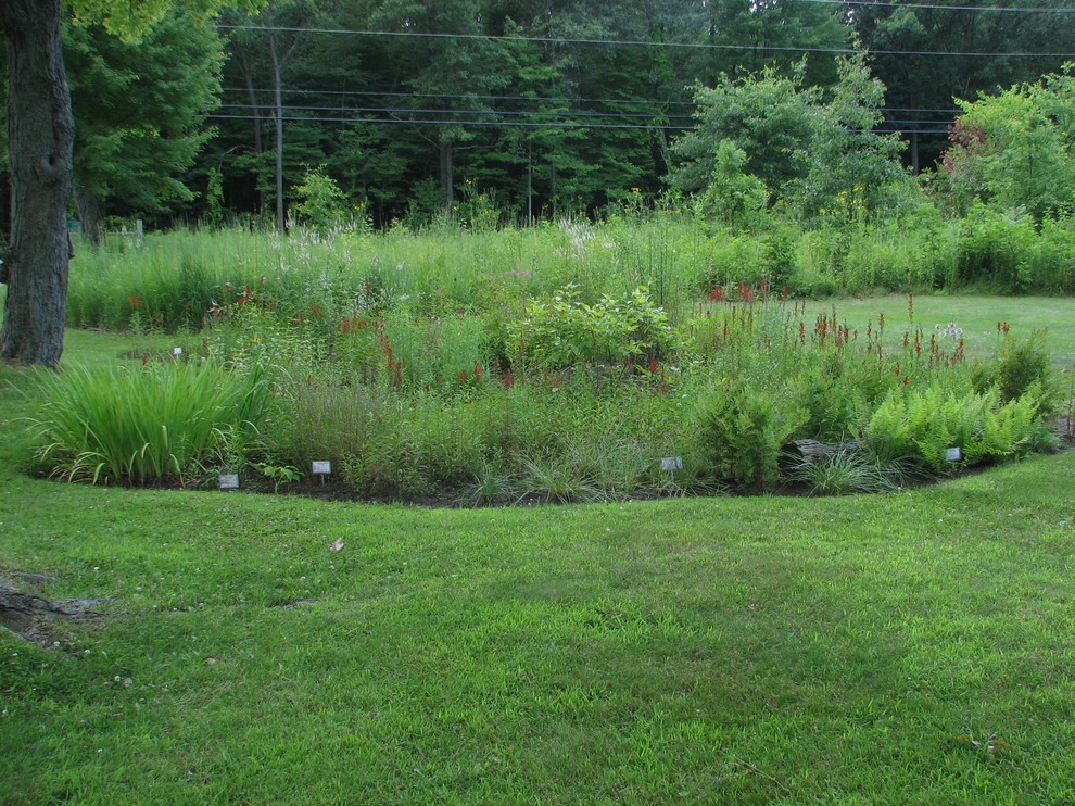Creating Sustainable Landscapes, LLC - Photo 5