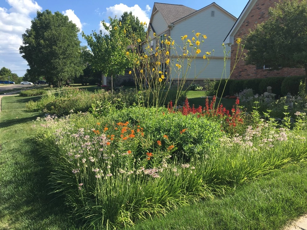Creating Sustainable Landscapes, LLC - Photo 3