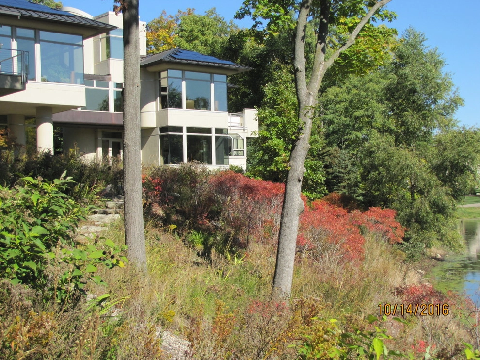 Compilation of Natural Native Plantings by Creating Sustainable Landscapes, LLC - Photo 8