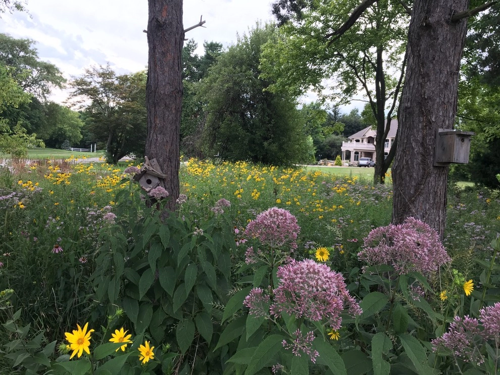 2017 by Creating Sustainable Landscapes, LLC - Photo 8