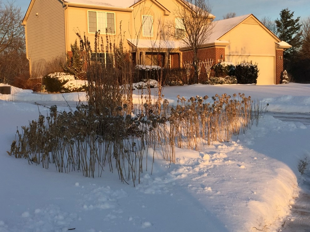 Compilation of Rain Garden Projects by Creating Sustainable Landscapes, LLC - Photo 4