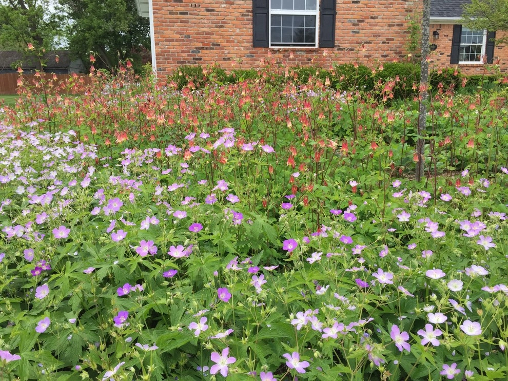 Creating Sustainable Landscapes, LLC - Photo 2