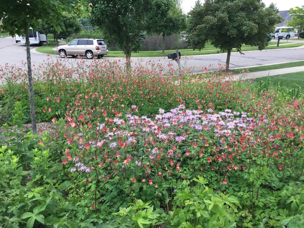 Compilation of Native Perennial Garden Projects by Creating Sustainable Landscapes, LLC - Photo 10