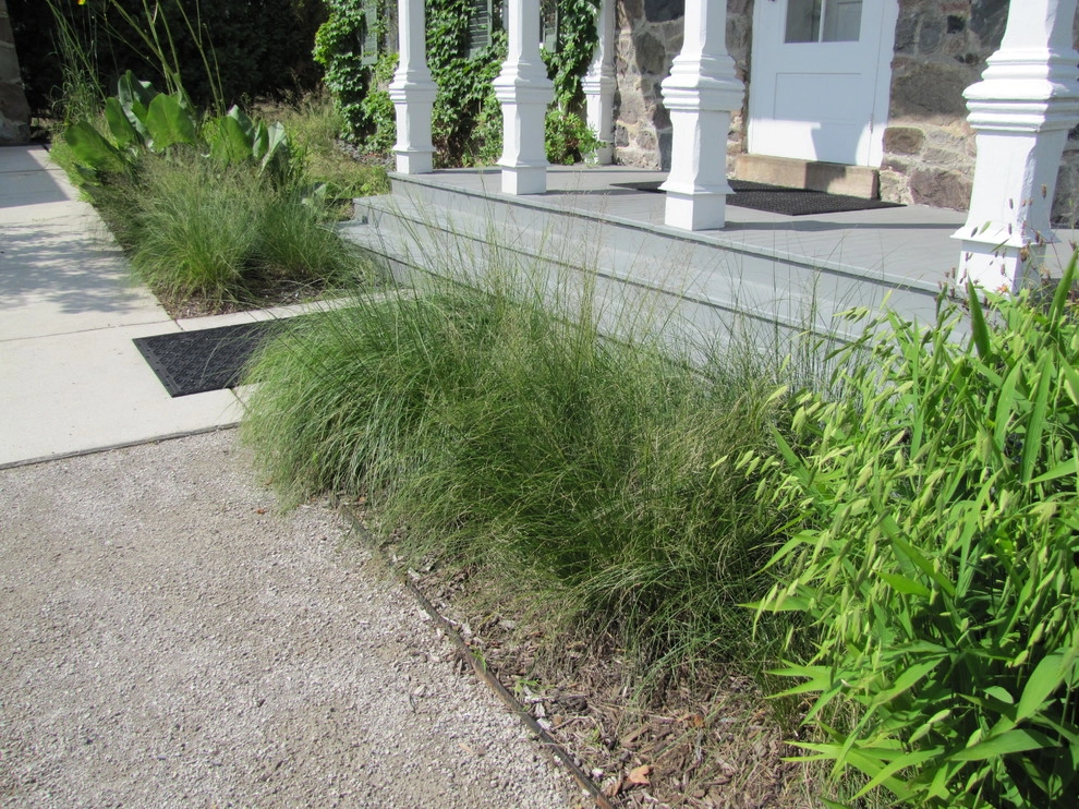 Compilation of Native Perennial Garden Projects by Creating Sustainable Landscapes, LLC - Photo 6