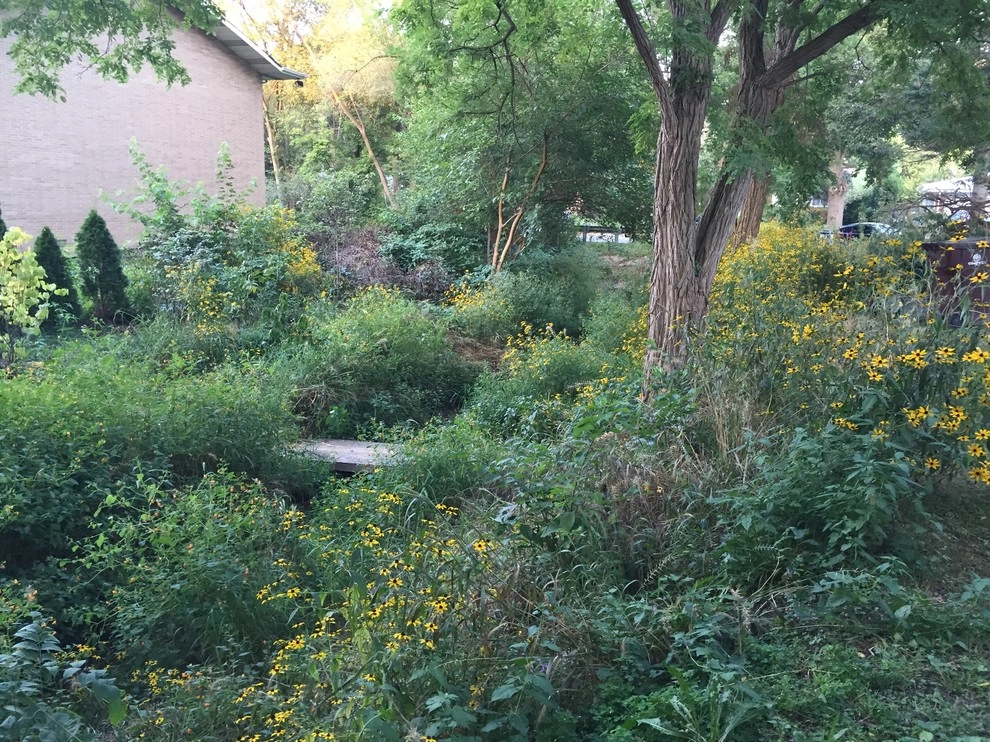Compilation of Natural Native Plantings by Creating Sustainable Landscapes, LLC - Photo 14