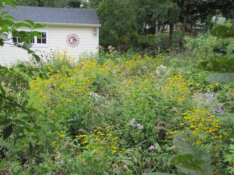 Compilation of Natural Native Plantings by Creating Sustainable Landscapes, LLC - Photo 17