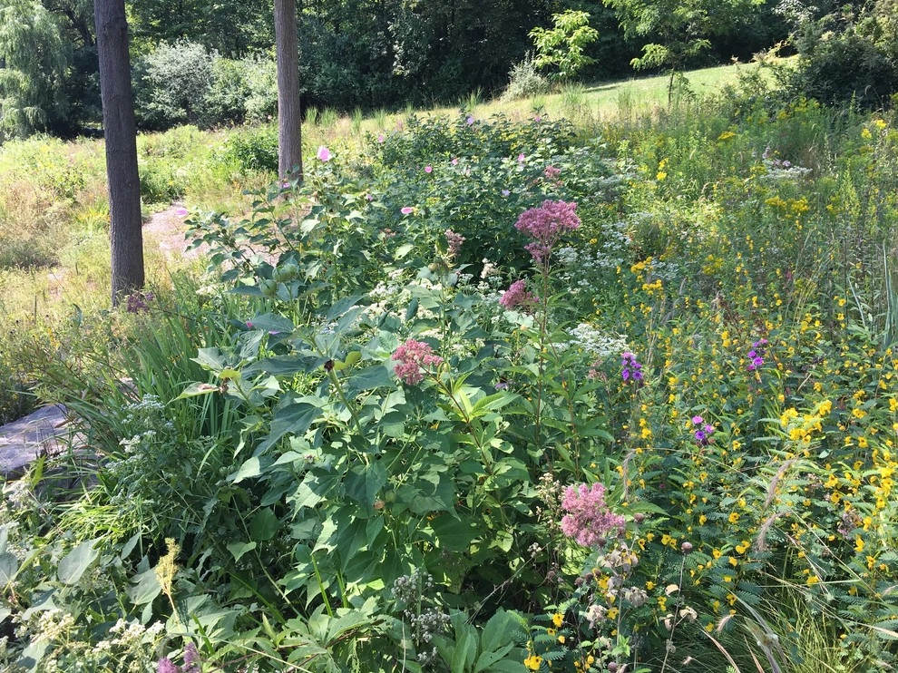 2017 by Creating Sustainable Landscapes, LLC - Photo 6