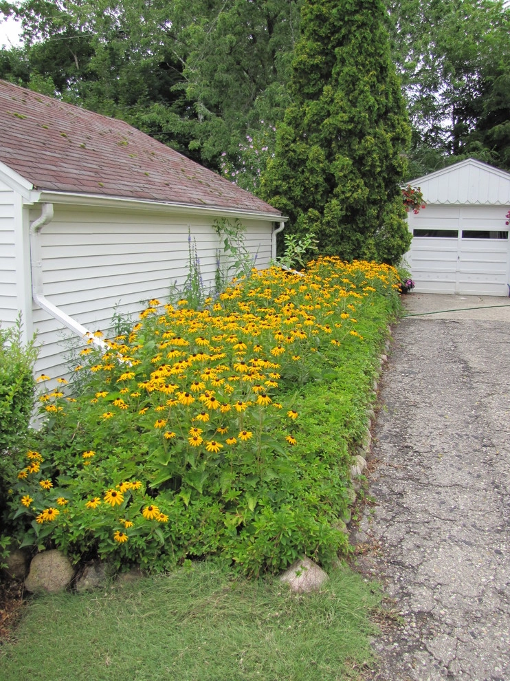 Compilation of Native Perennial Garden Projects by Creating Sustainable Landscapes, LLC - Photo 9