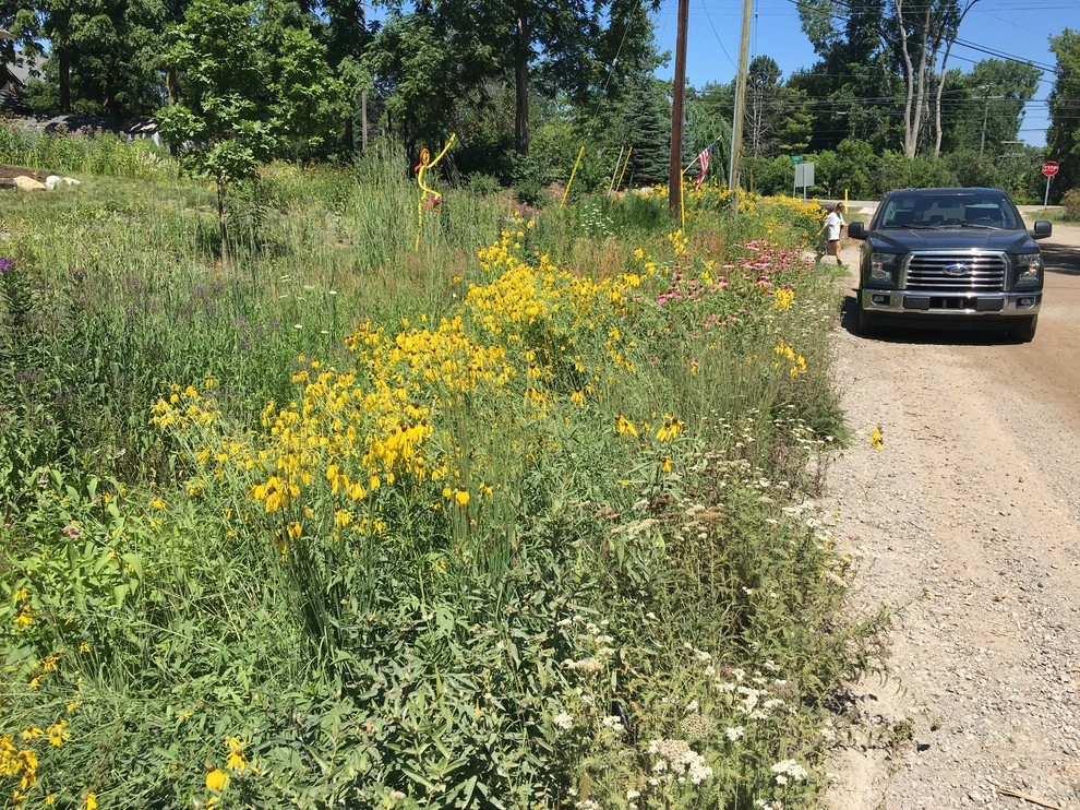 Creating Sustainable Landscapes, LLC - Photo 13