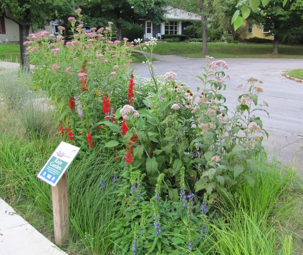 Compilation of Rain Garden Projects by Creating Sustainable Landscapes, LLC - Photo 12